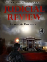 Judicial Review (Wynn Garrett Series #4)